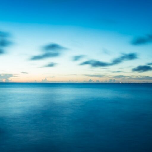 サイトアイコン